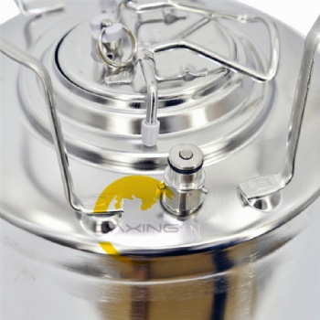  Ball lock keg	